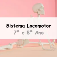Exercícios sobre o Sistema Locomotor, Ossos e Esqueleto Humano para o 7° e 8° ano do Ensino Fundamental com Gabarito
